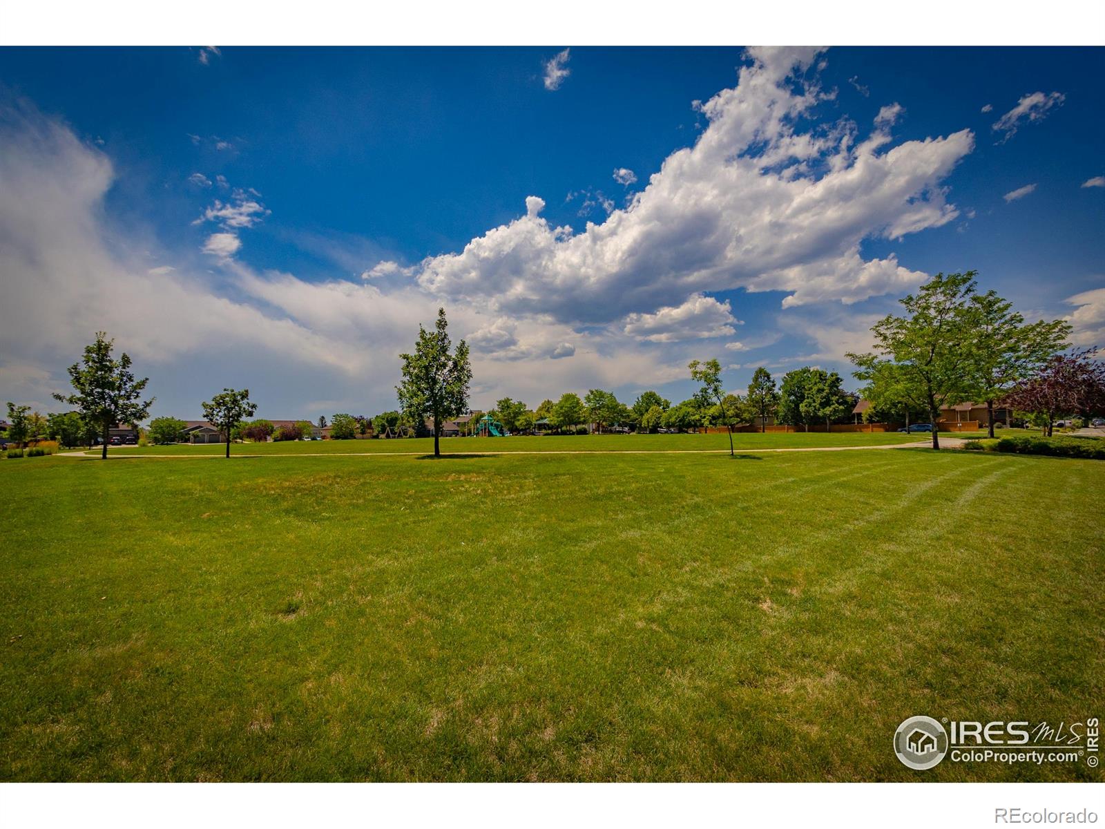 MLS Image #28 for 2504  winter park street,loveland, Colorado