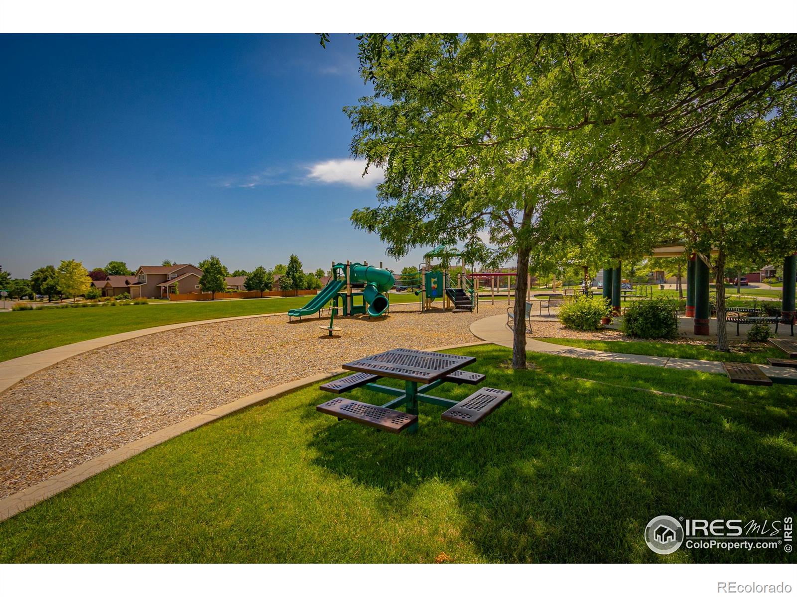 MLS Image #29 for 2504  winter park street,loveland, Colorado