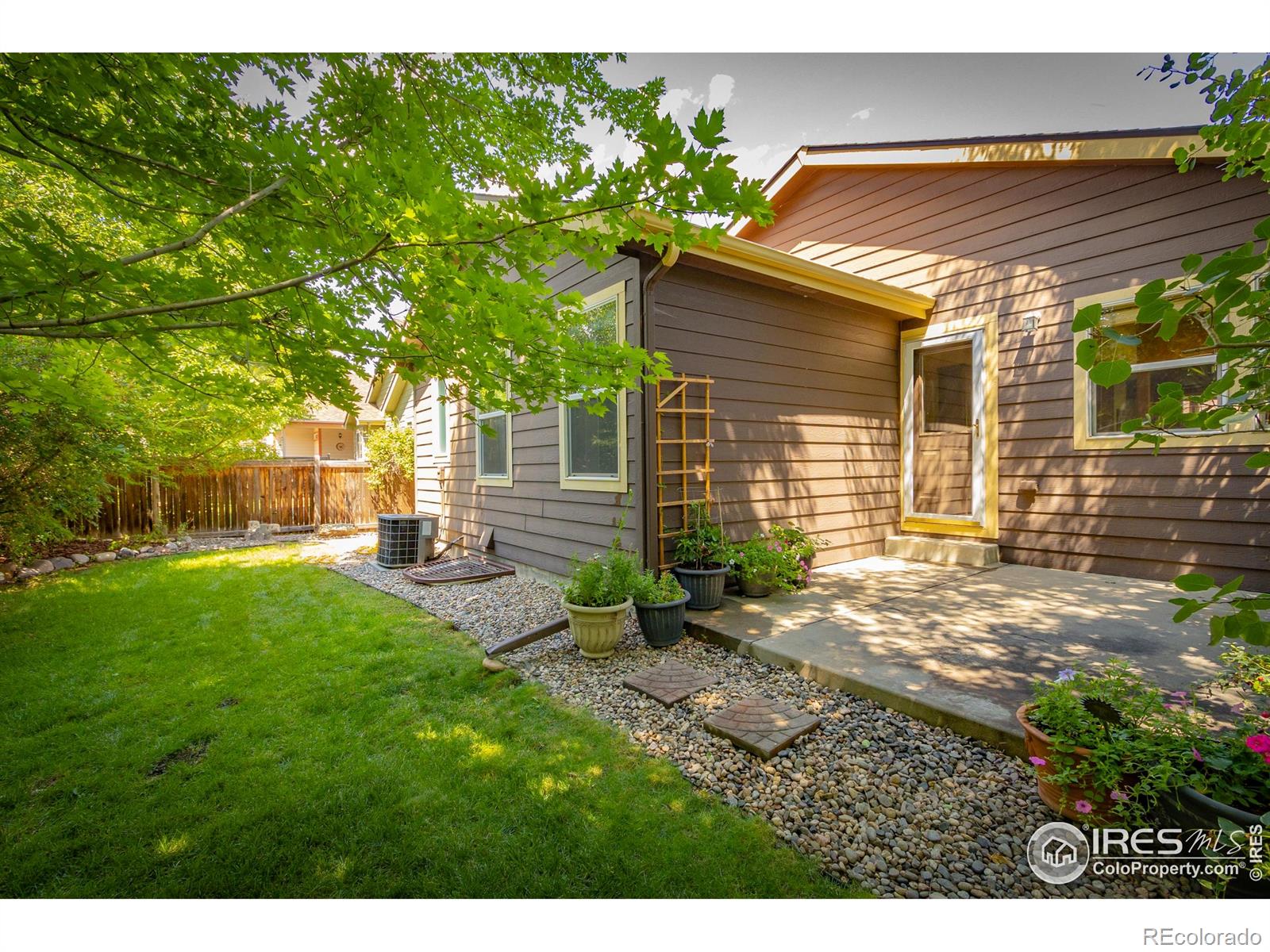 MLS Image #3 for 2504  winter park street,loveland, Colorado