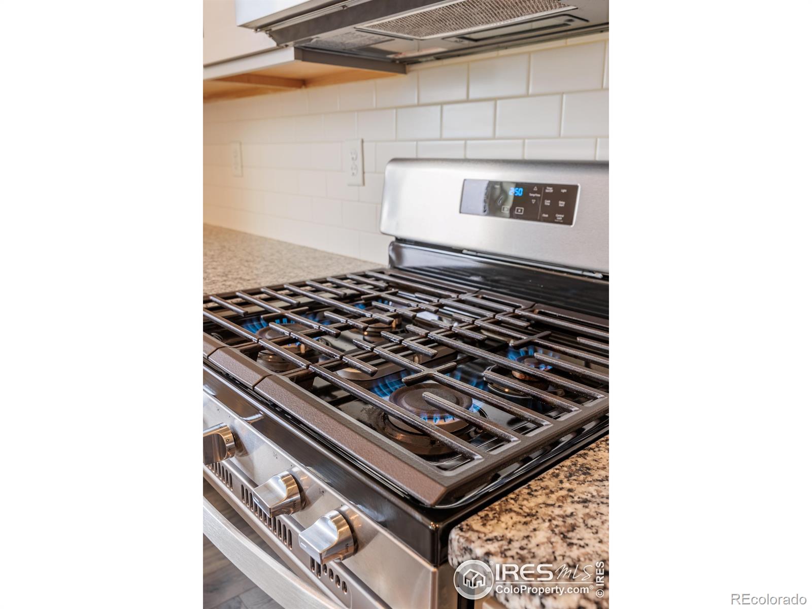 MLS Image #10 for 4405  garnet way,longmont, Colorado