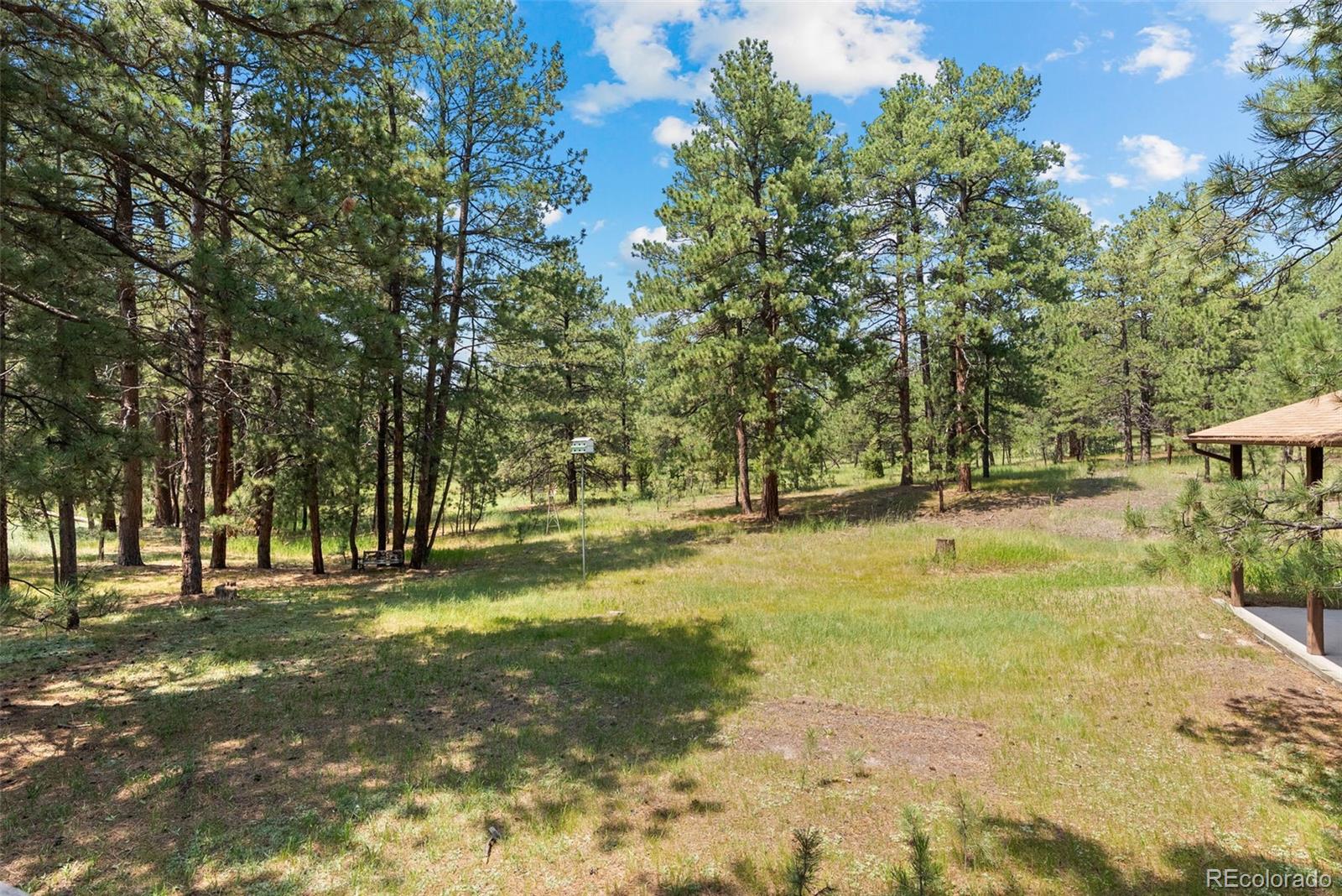 MLS Image #39 for 4745  bonnie ridge drive,elizabeth, Colorado
