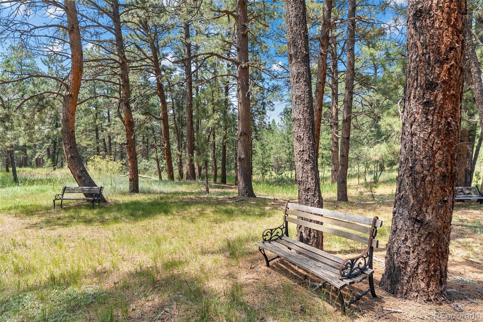 MLS Image #40 for 4745  bonnie ridge drive,elizabeth, Colorado
