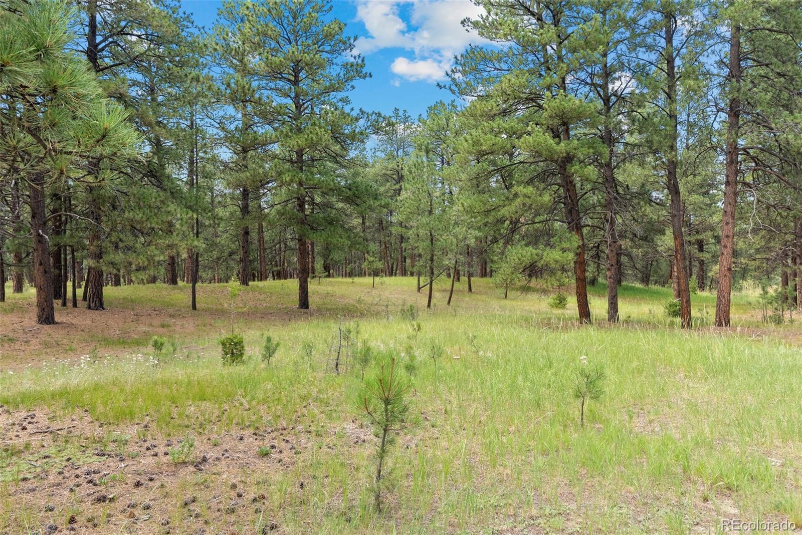 MLS Image #41 for 4745  bonnie ridge drive,elizabeth, Colorado