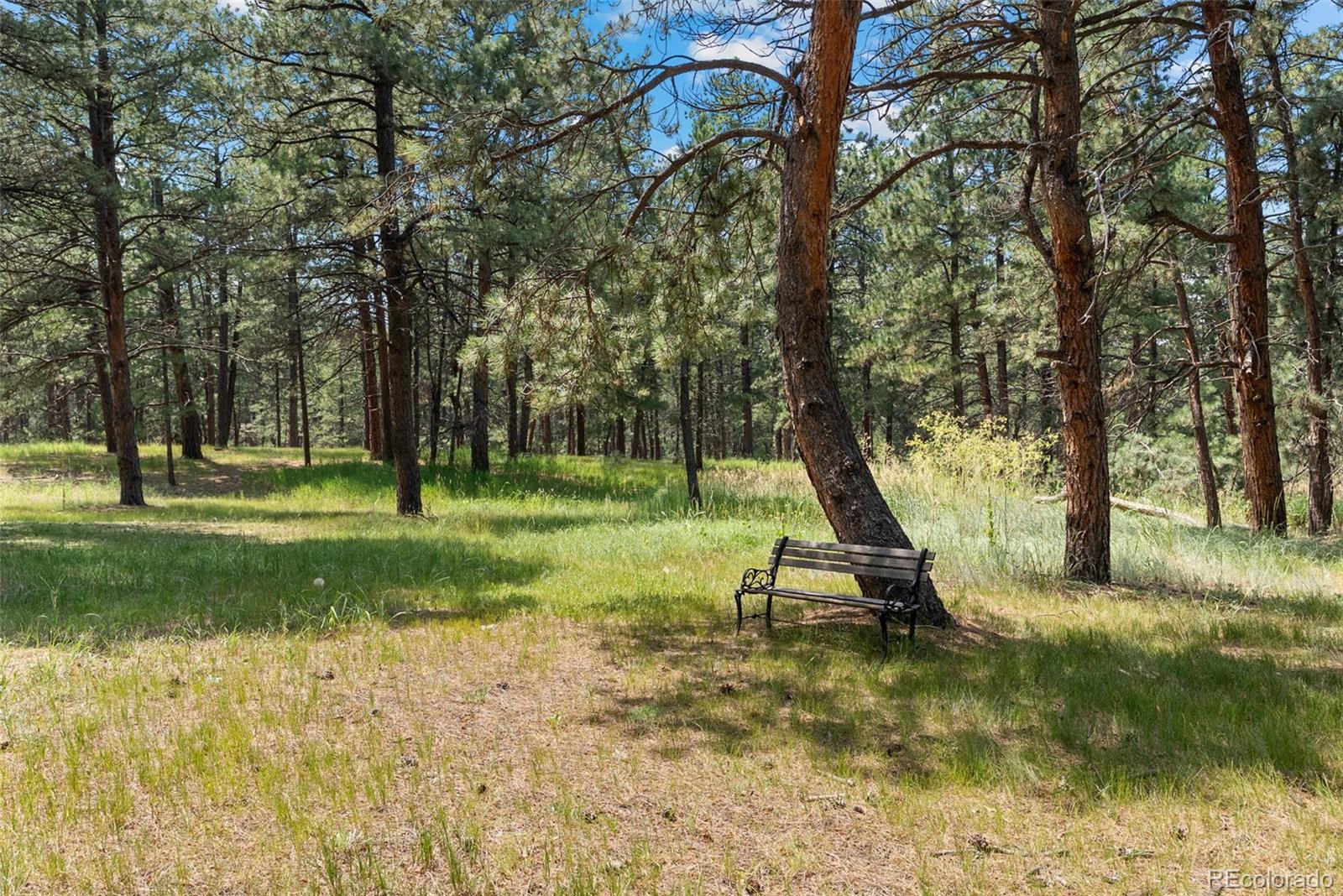 MLS Image #6 for 4745  bonnie ridge drive,elizabeth, Colorado