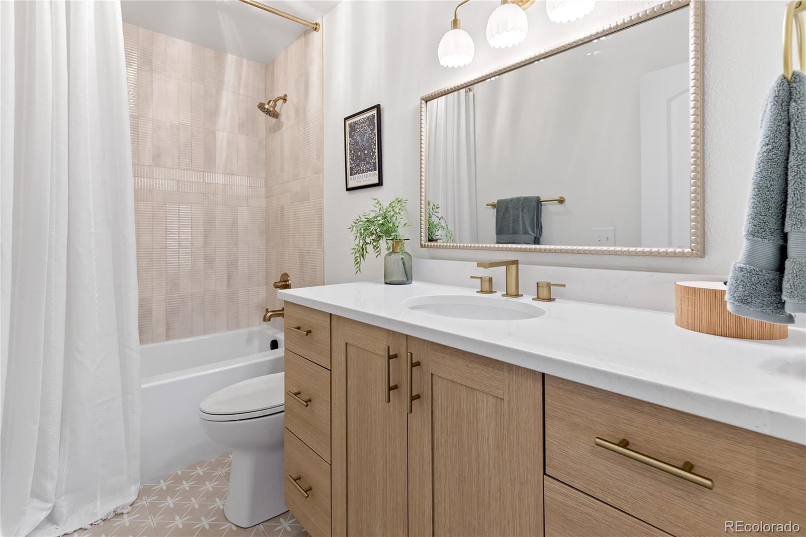 MLS Image #29 for 232  northridge road,highlands ranch, Colorado