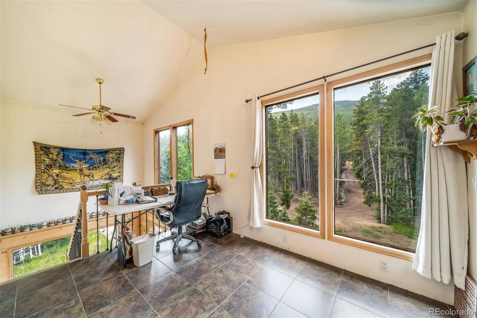 MLS Image #14 for 8774  spring drive,conifer, Colorado