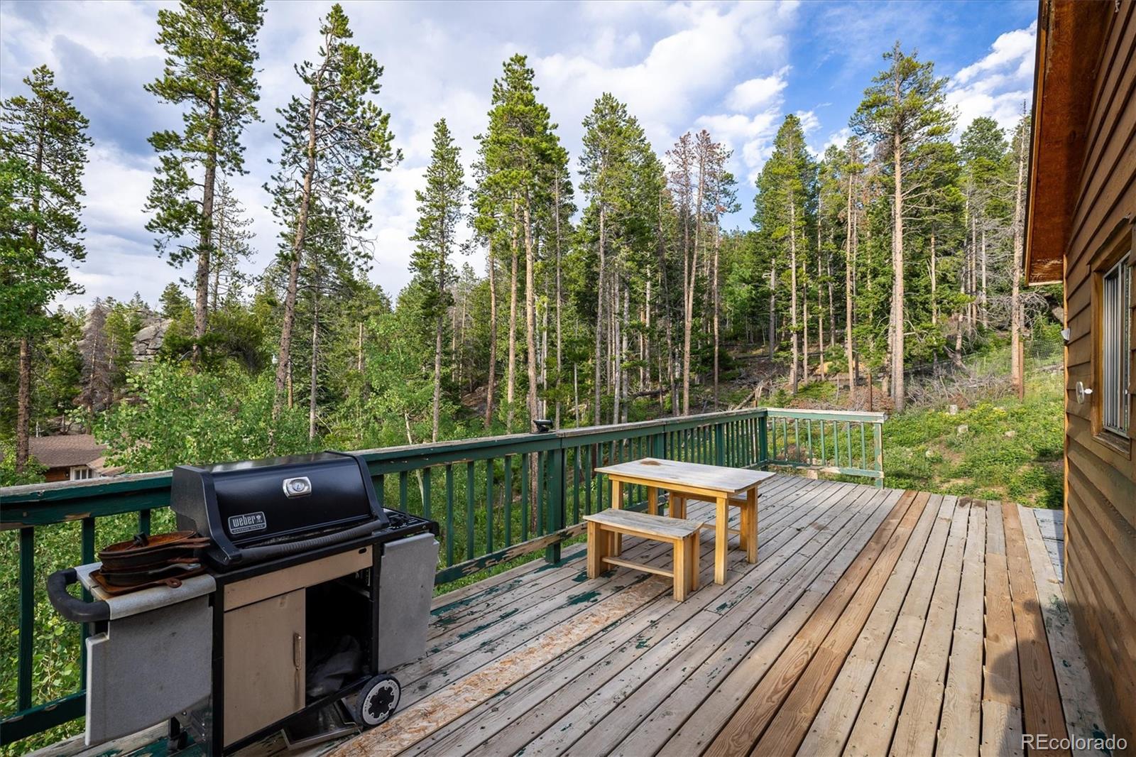 MLS Image #18 for 11  eagles nest lane,golden, Colorado