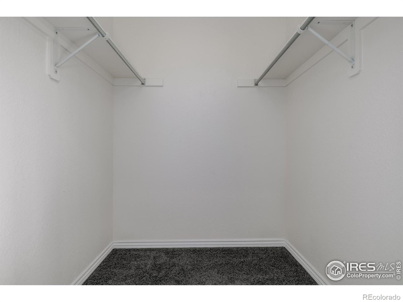 MLS Image #11 for 2608  brush creek drive,fort collins, Colorado