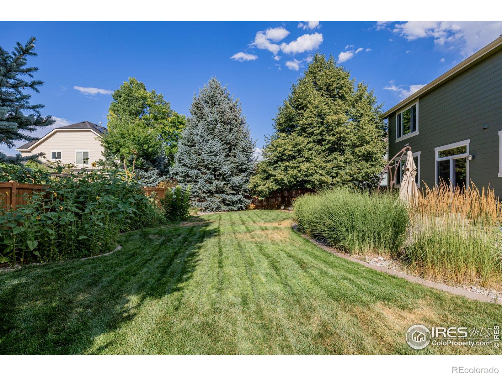 MLS Image #20 for 2608  brush creek drive,fort collins, Colorado