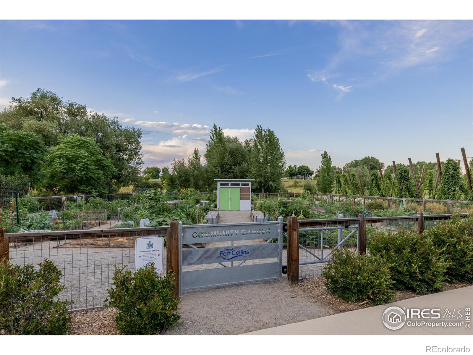 MLS Image #27 for 2608  brush creek drive,fort collins, Colorado