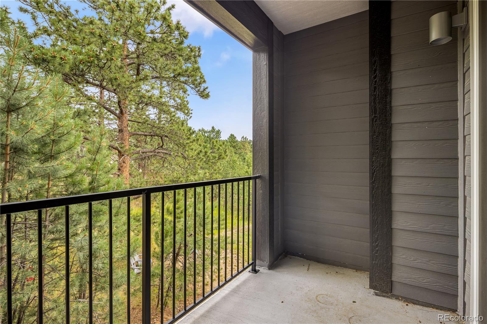 MLS Image #9 for 31192  black eagle drive,evergreen, Colorado