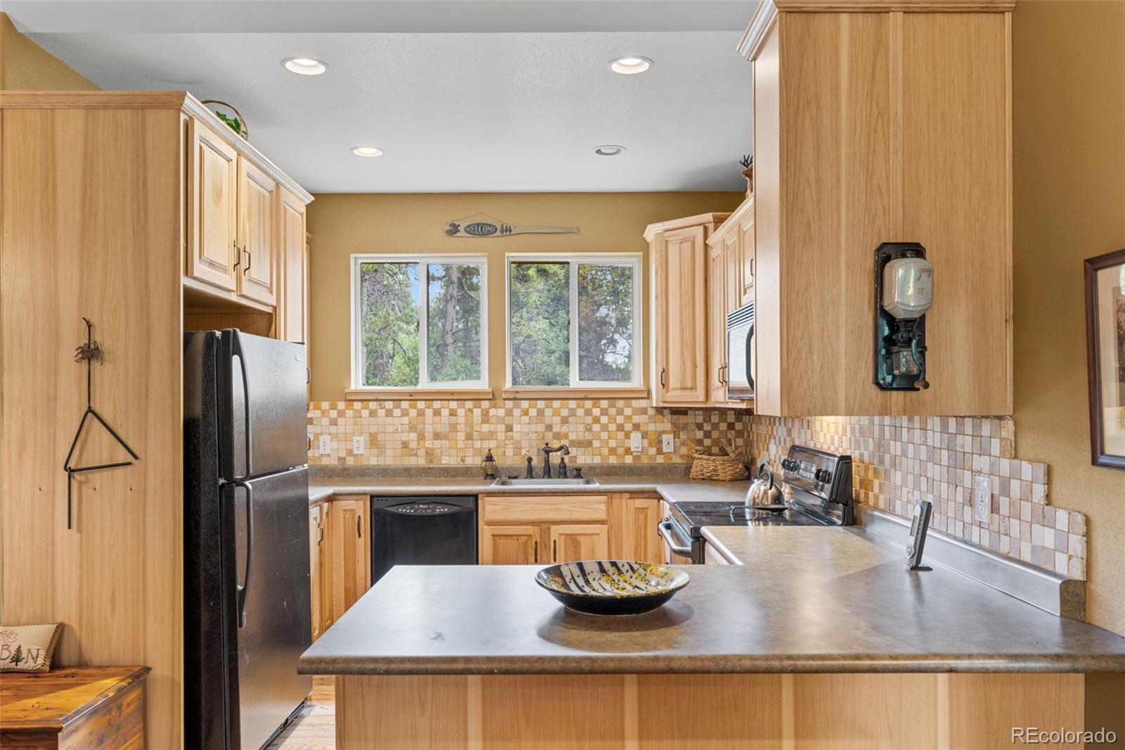 MLS Image #14 for 1224  circle 73 ,fairplay, Colorado
