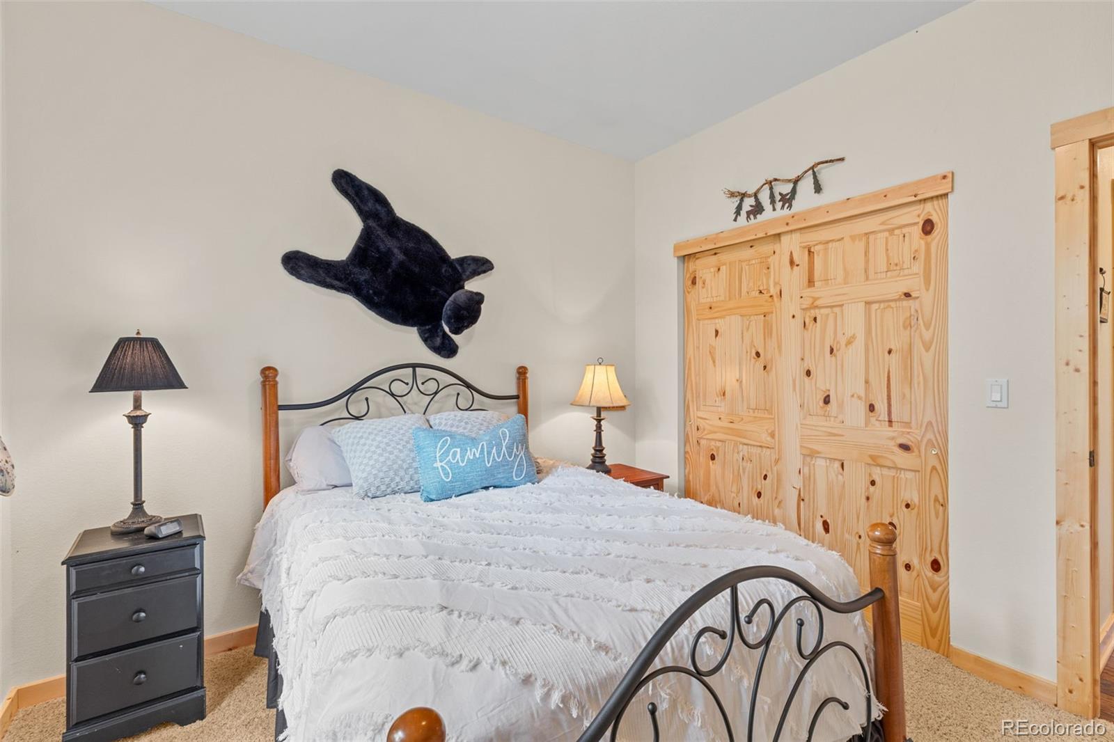 MLS Image #29 for 1224  circle 73 ,fairplay, Colorado