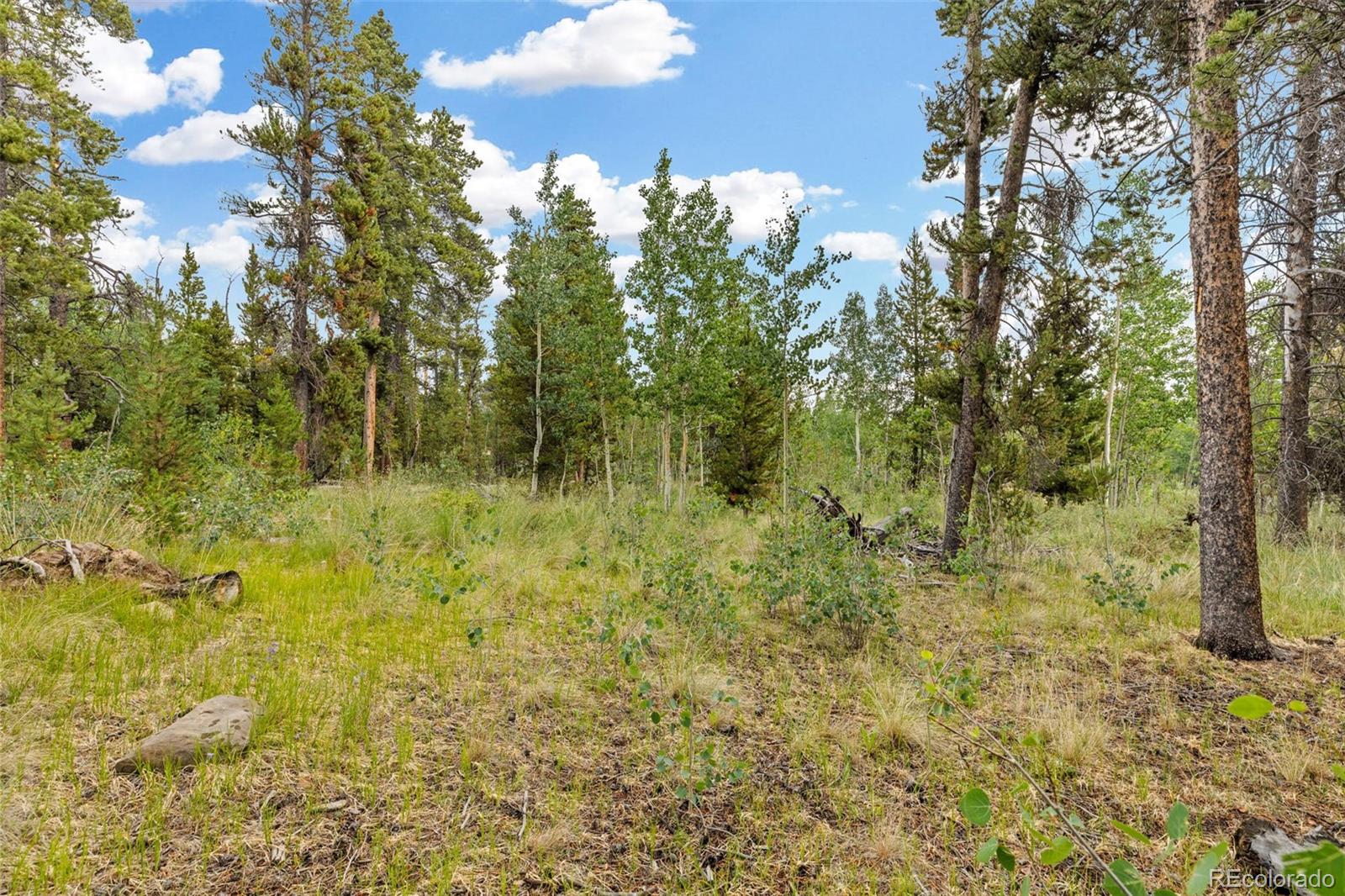 MLS Image #45 for 1224  circle 73 ,fairplay, Colorado