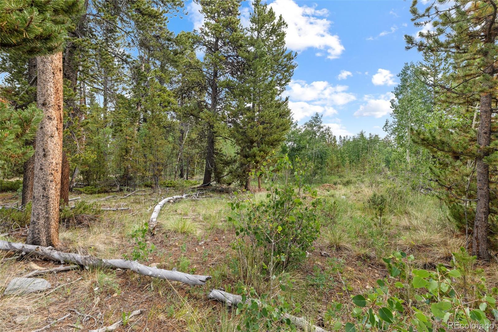 MLS Image #46 for 1224  circle 73 ,fairplay, Colorado