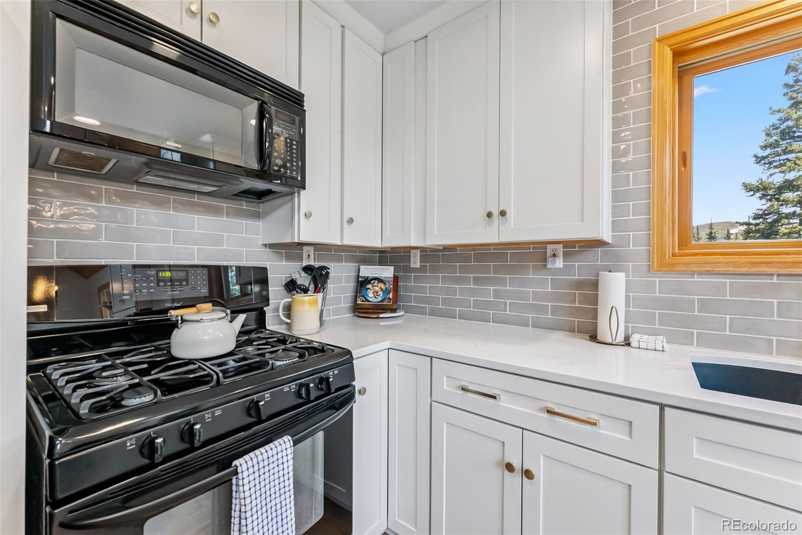 MLS Image #12 for 1375  roberts road,fairplay, Colorado