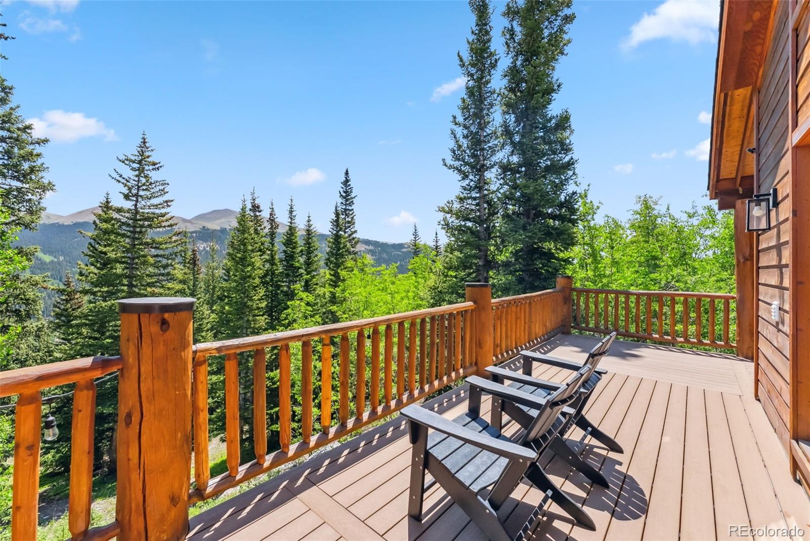 MLS Image #2 for 1375  roberts road,fairplay, Colorado