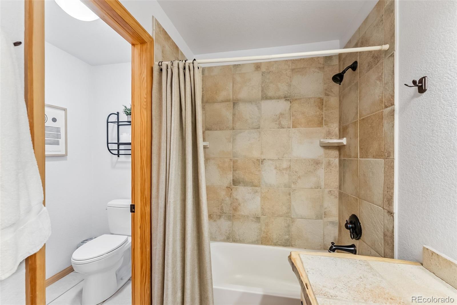 MLS Image #20 for 1375  roberts road,fairplay, Colorado
