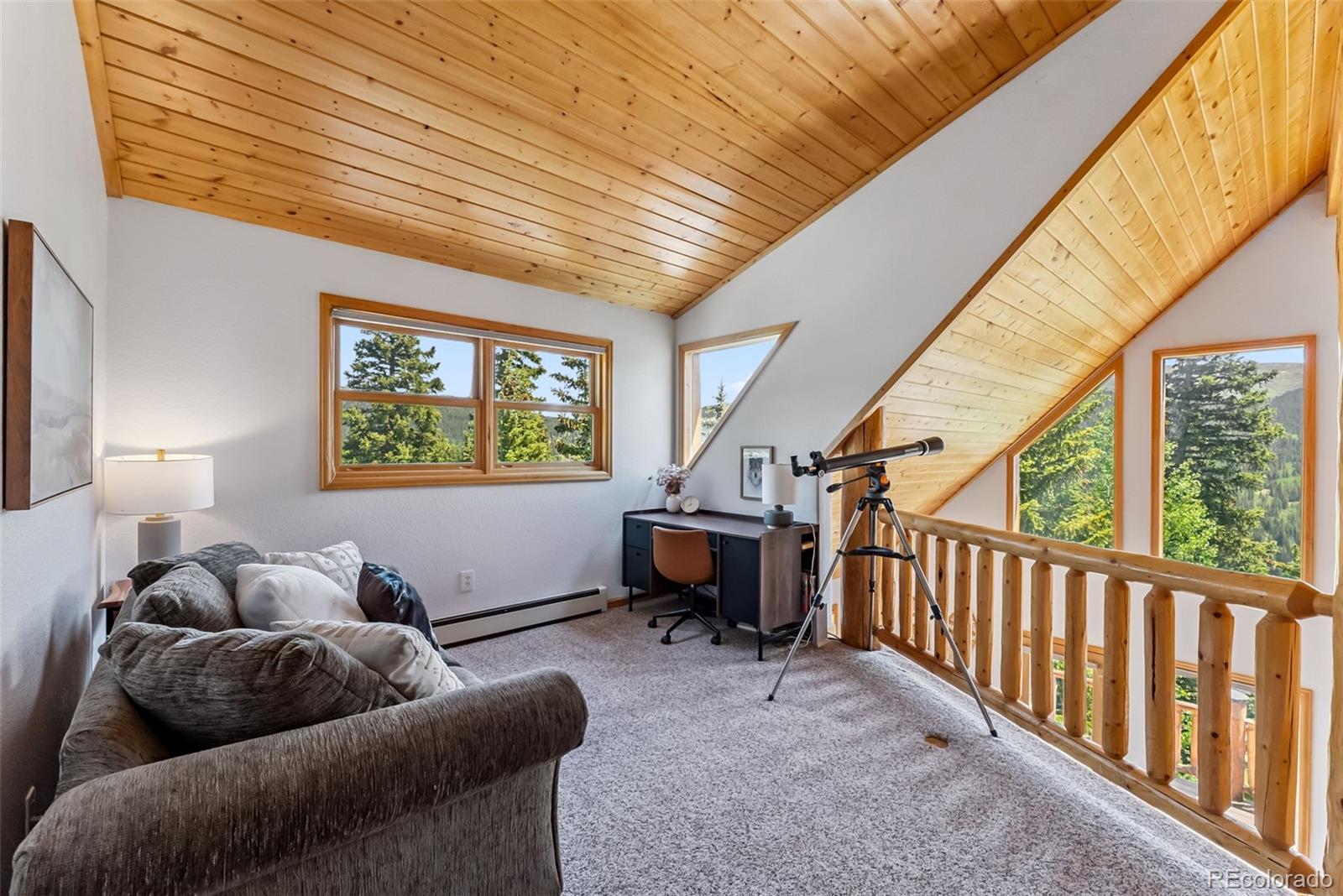 MLS Image #22 for 1375  roberts road,fairplay, Colorado
