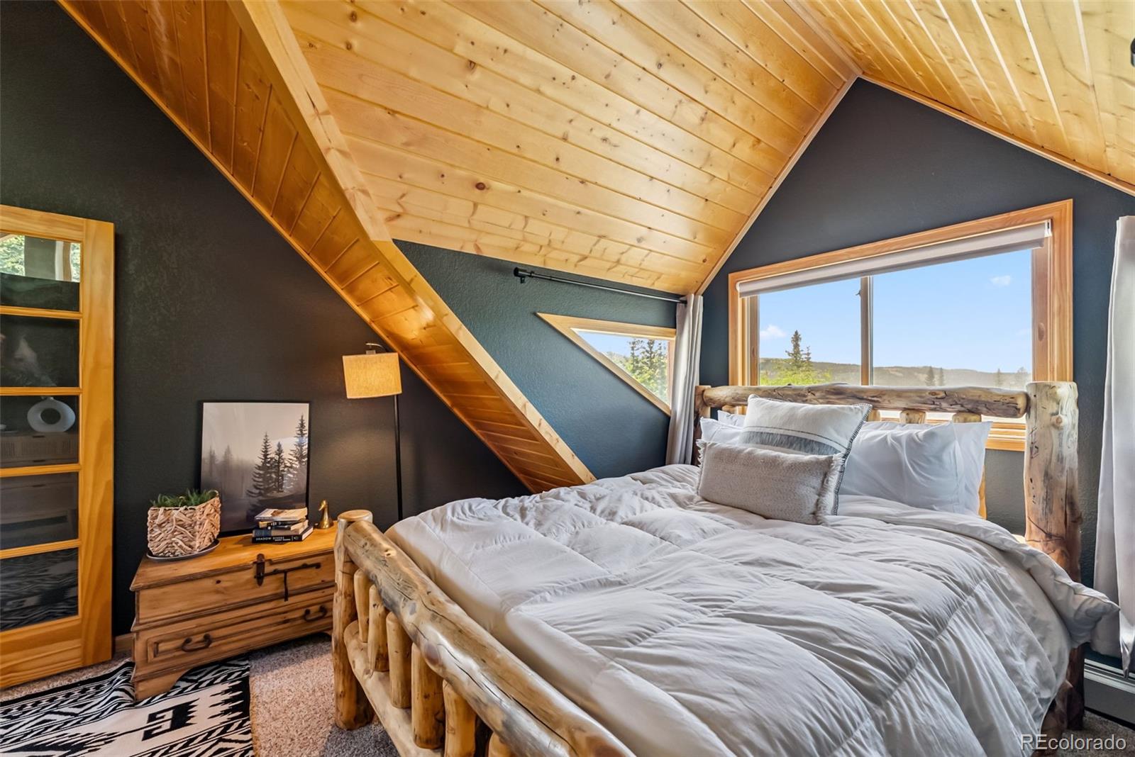 MLS Image #26 for 1375  roberts road,fairplay, Colorado