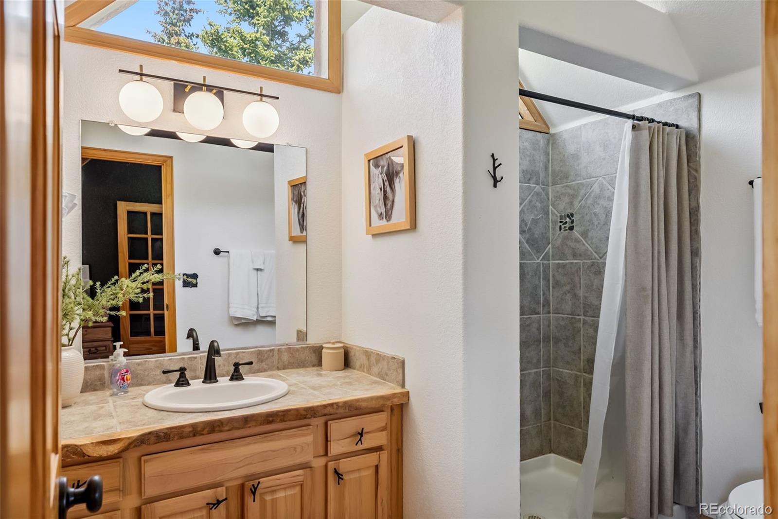 MLS Image #27 for 1375  roberts road,fairplay, Colorado