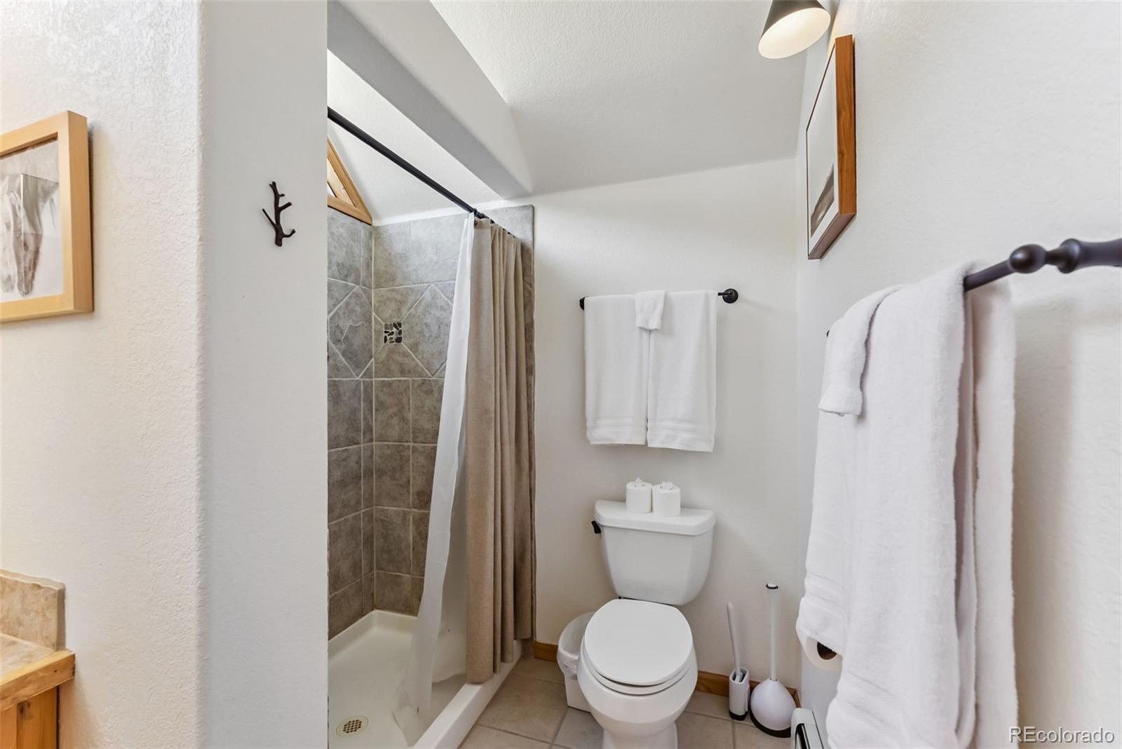 MLS Image #28 for 1375  roberts road,fairplay, Colorado