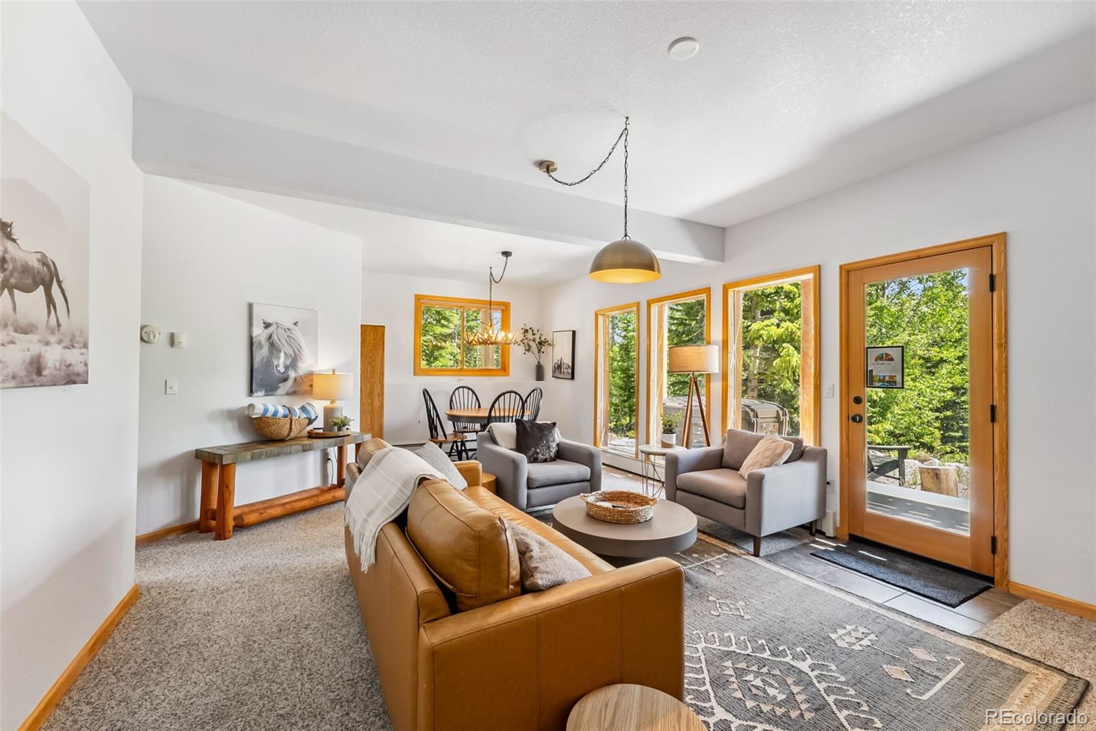 MLS Image #29 for 1375  roberts road,fairplay, Colorado