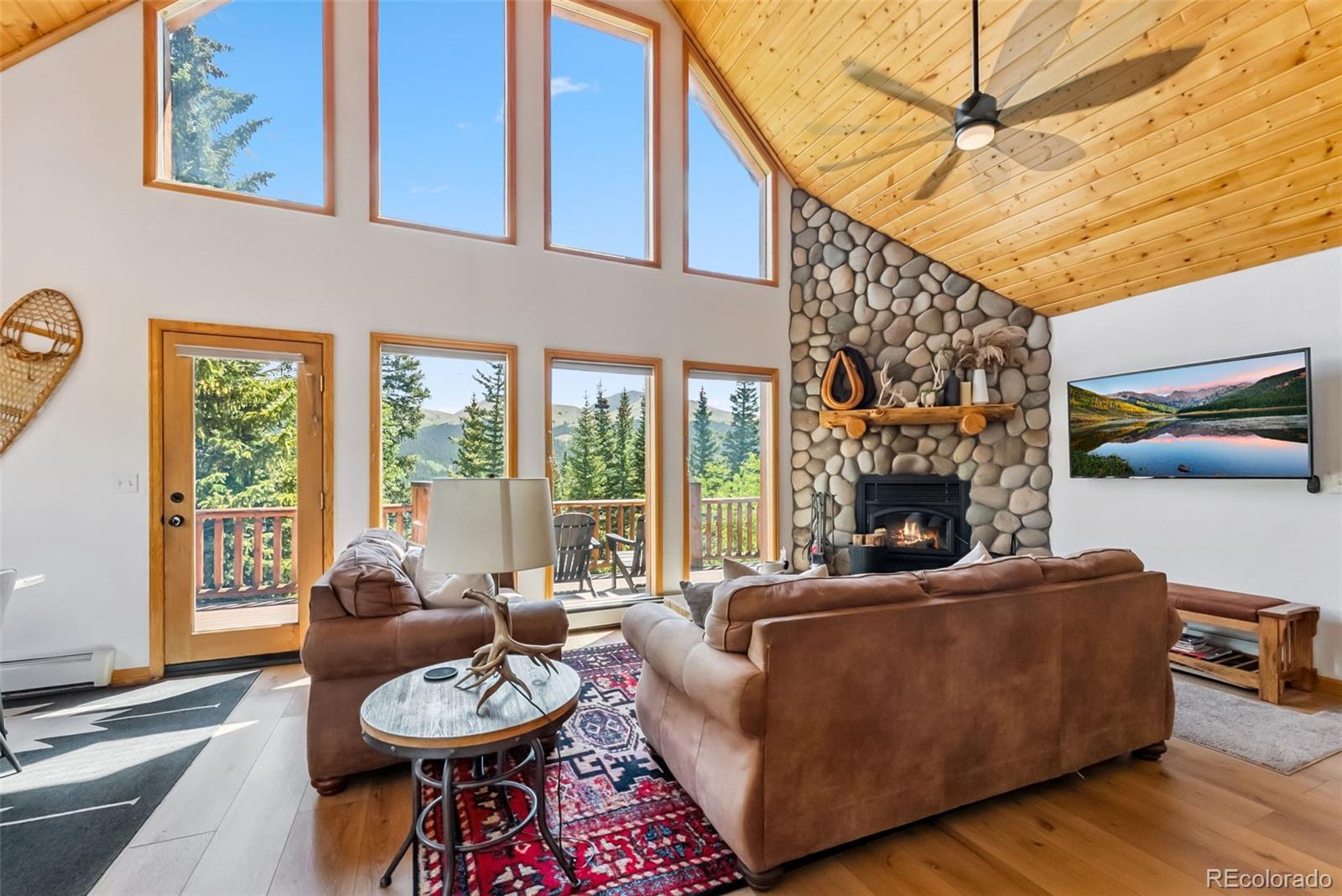 MLS Image #3 for 1375  roberts road,fairplay, Colorado