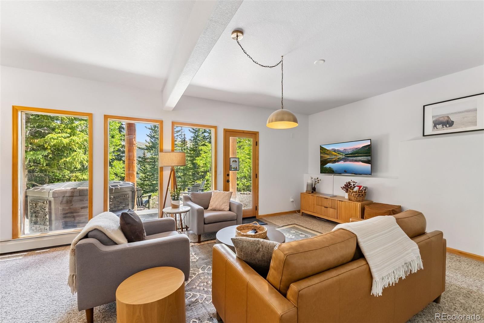MLS Image #30 for 1375  roberts road,fairplay, Colorado