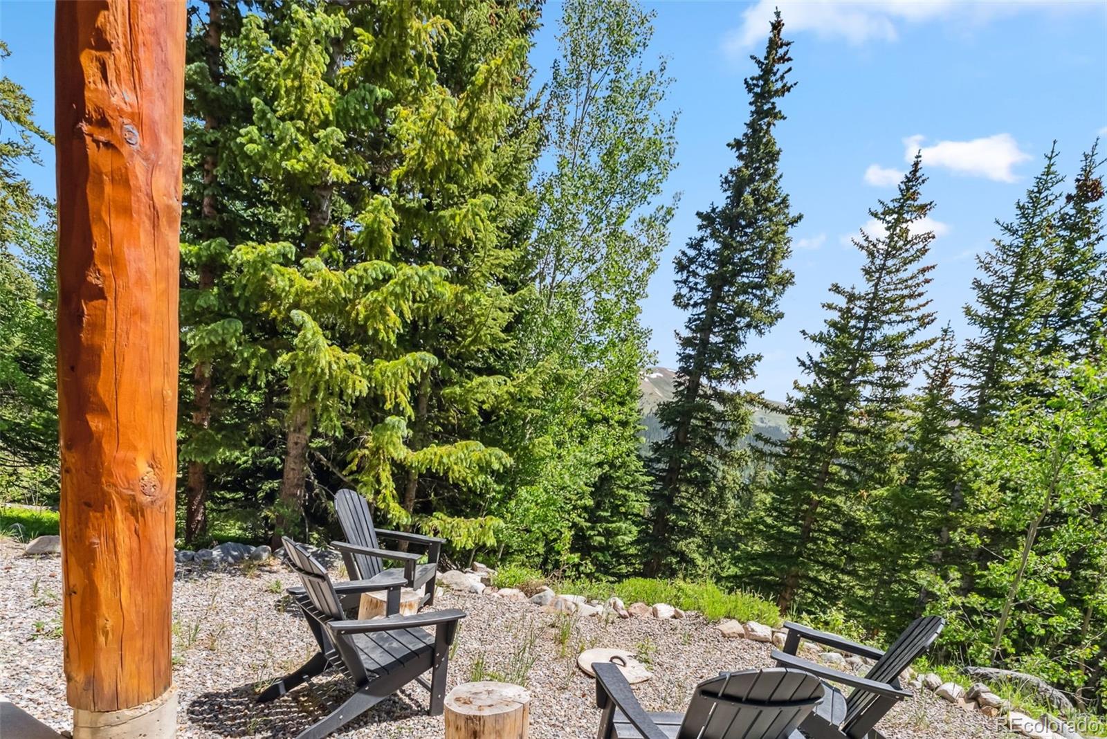 MLS Image #35 for 1375  roberts road,fairplay, Colorado