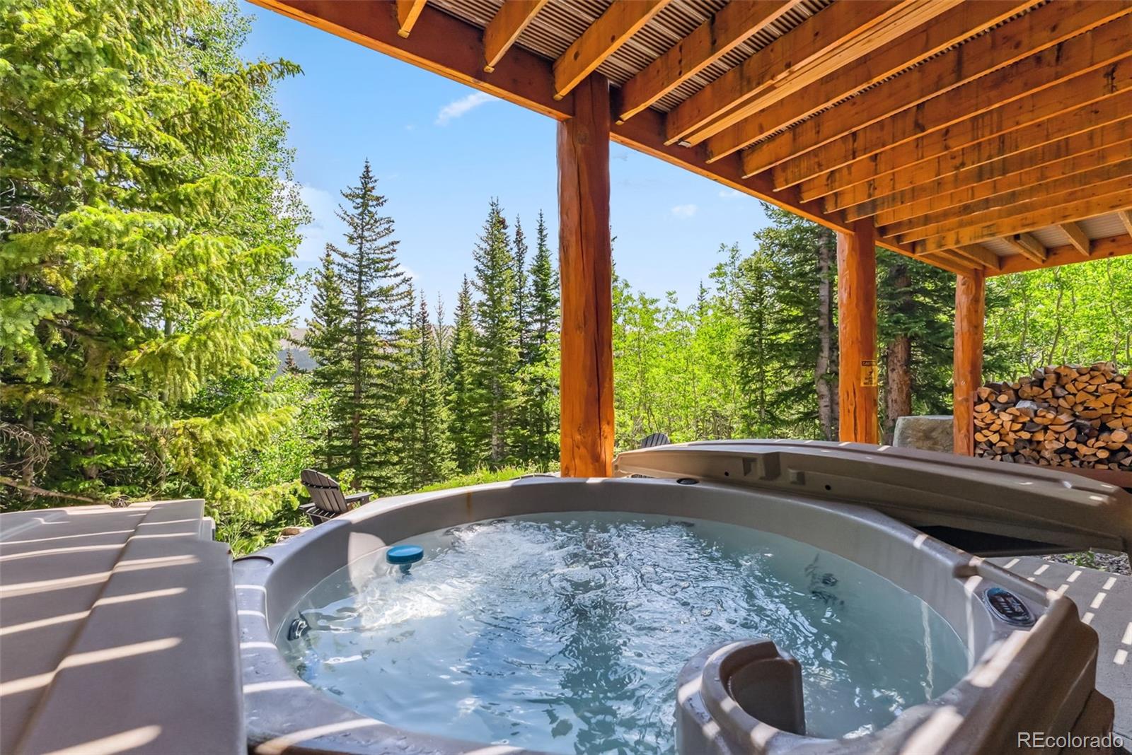 MLS Image #37 for 1375  roberts road,fairplay, Colorado