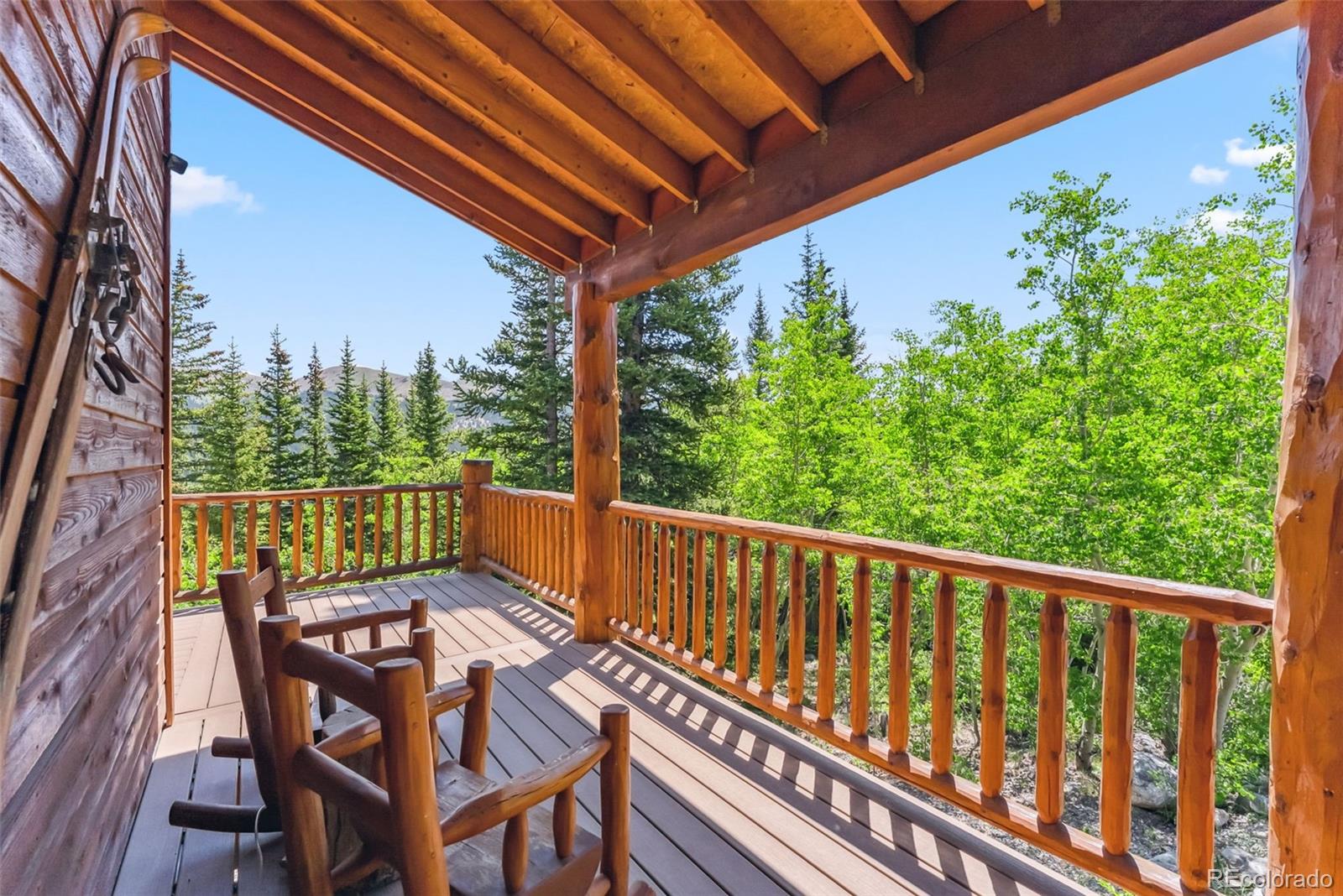 MLS Image #39 for 1375  roberts road,fairplay, Colorado