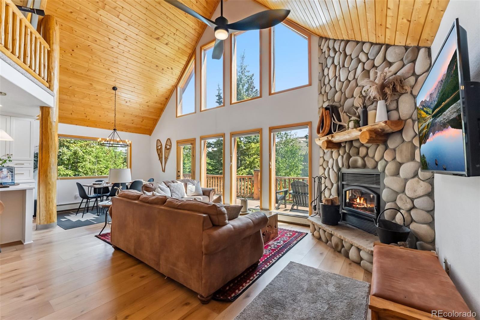 MLS Image #4 for 1375  roberts road,fairplay, Colorado
