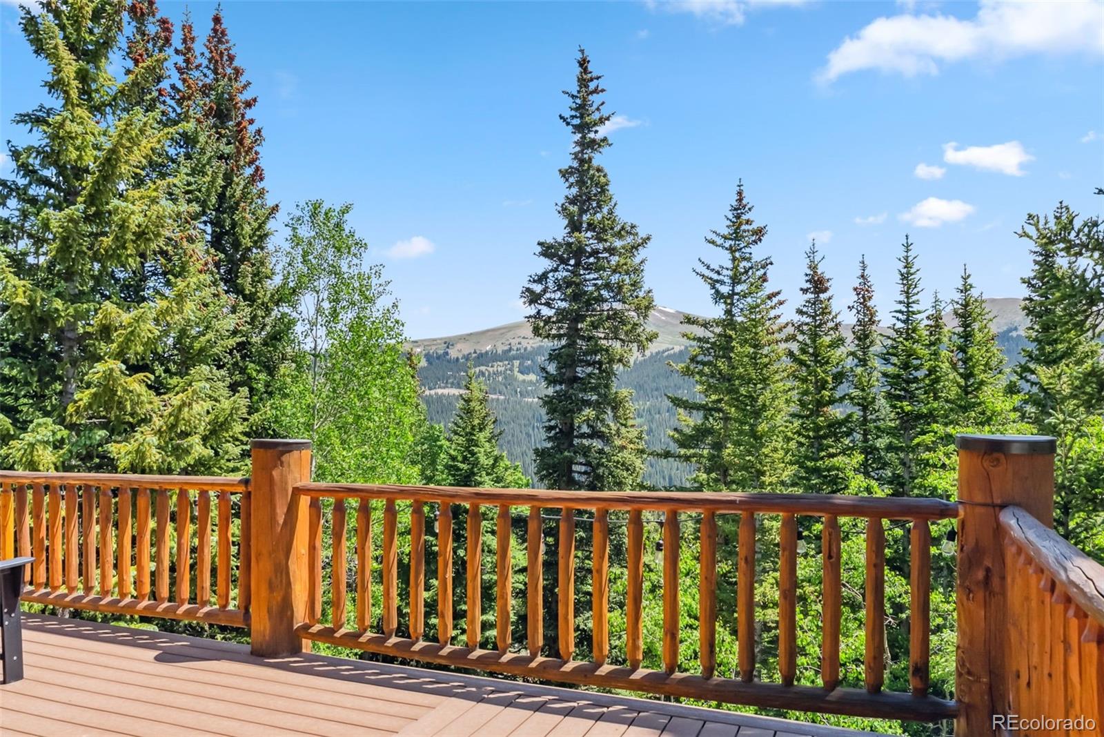 MLS Image #40 for 1375  roberts road,fairplay, Colorado