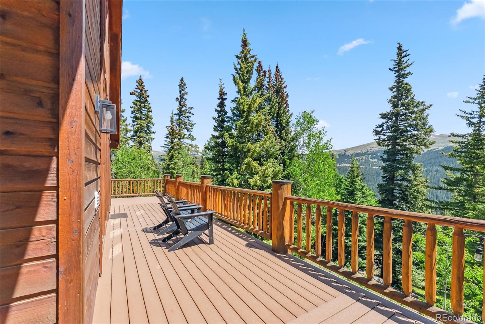 MLS Image #41 for 1375  roberts road,fairplay, Colorado