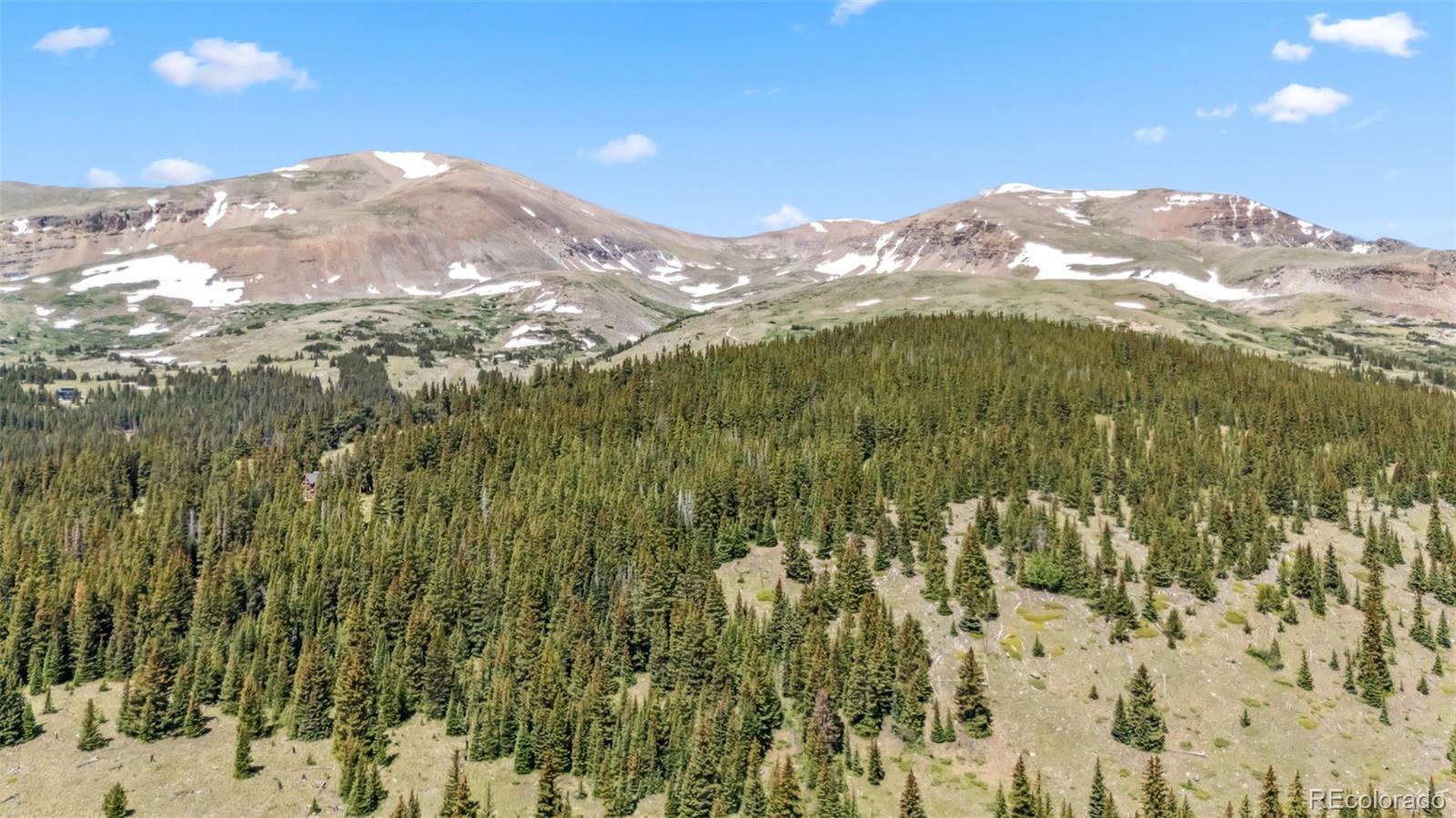 MLS Image #49 for 1375  roberts road,fairplay, Colorado