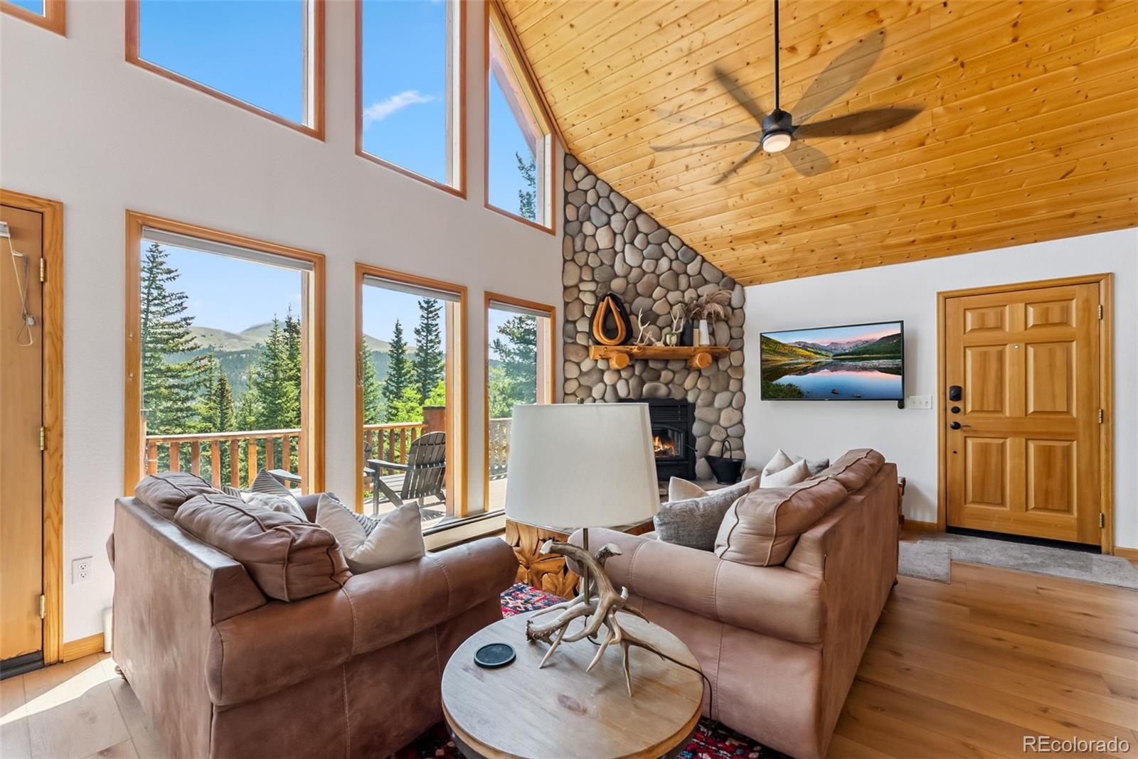 MLS Image #6 for 1375  roberts road,fairplay, Colorado