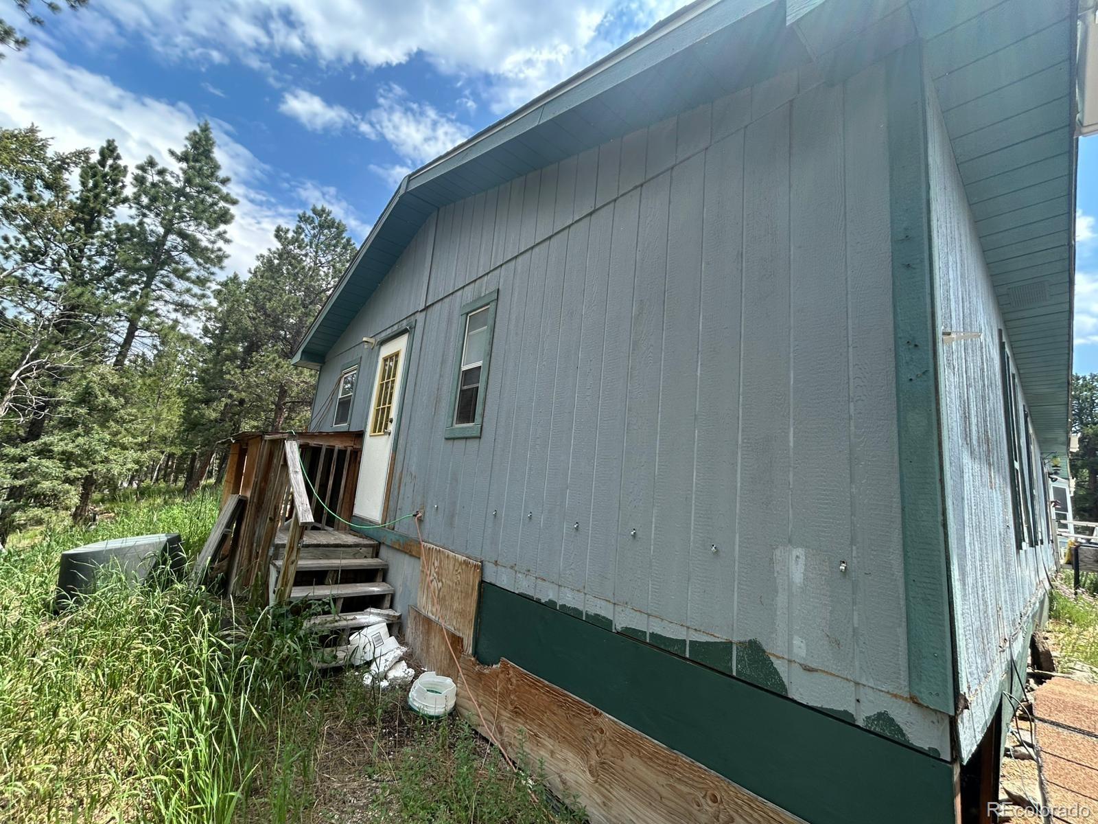 MLS Image #3 for 374  hickory creek road,divide, Colorado