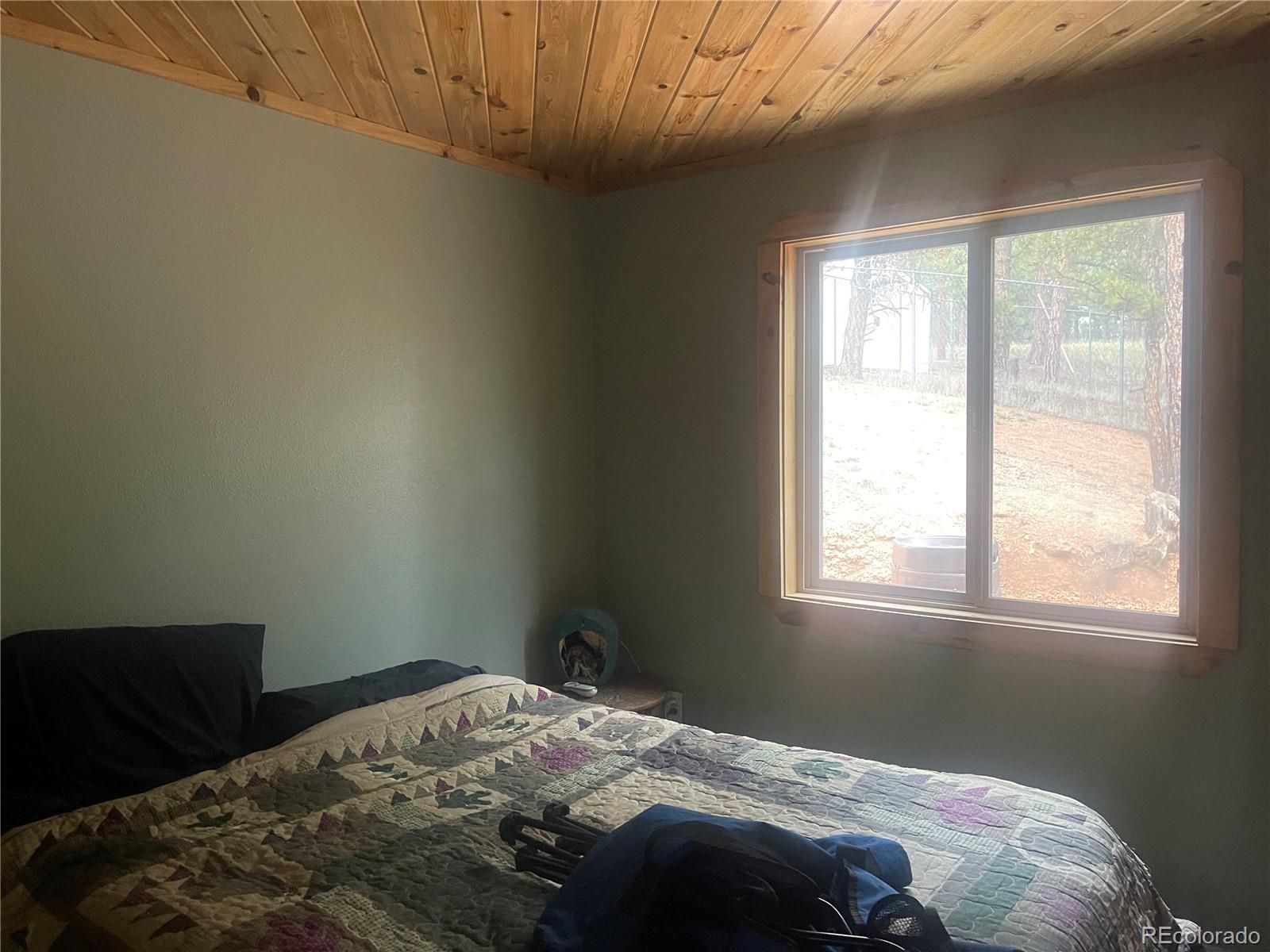MLS Image #25 for 110  wallace drive,florissant, Colorado