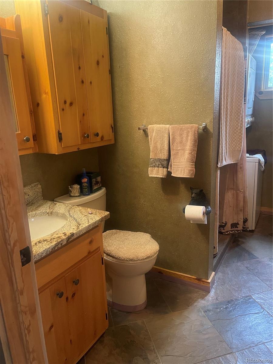 MLS Image #26 for 110  wallace drive,florissant, Colorado
