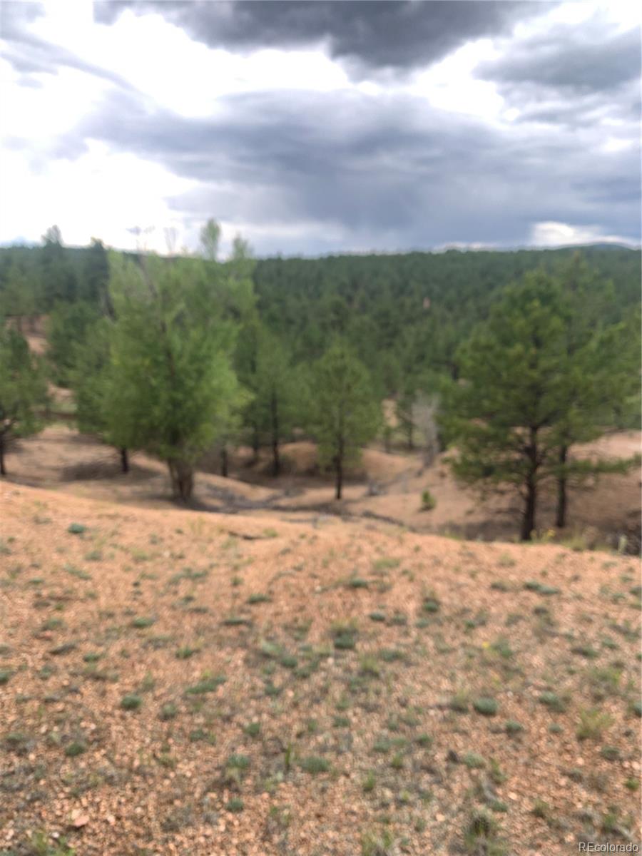 MLS Image #28 for 110  wallace drive,florissant, Colorado