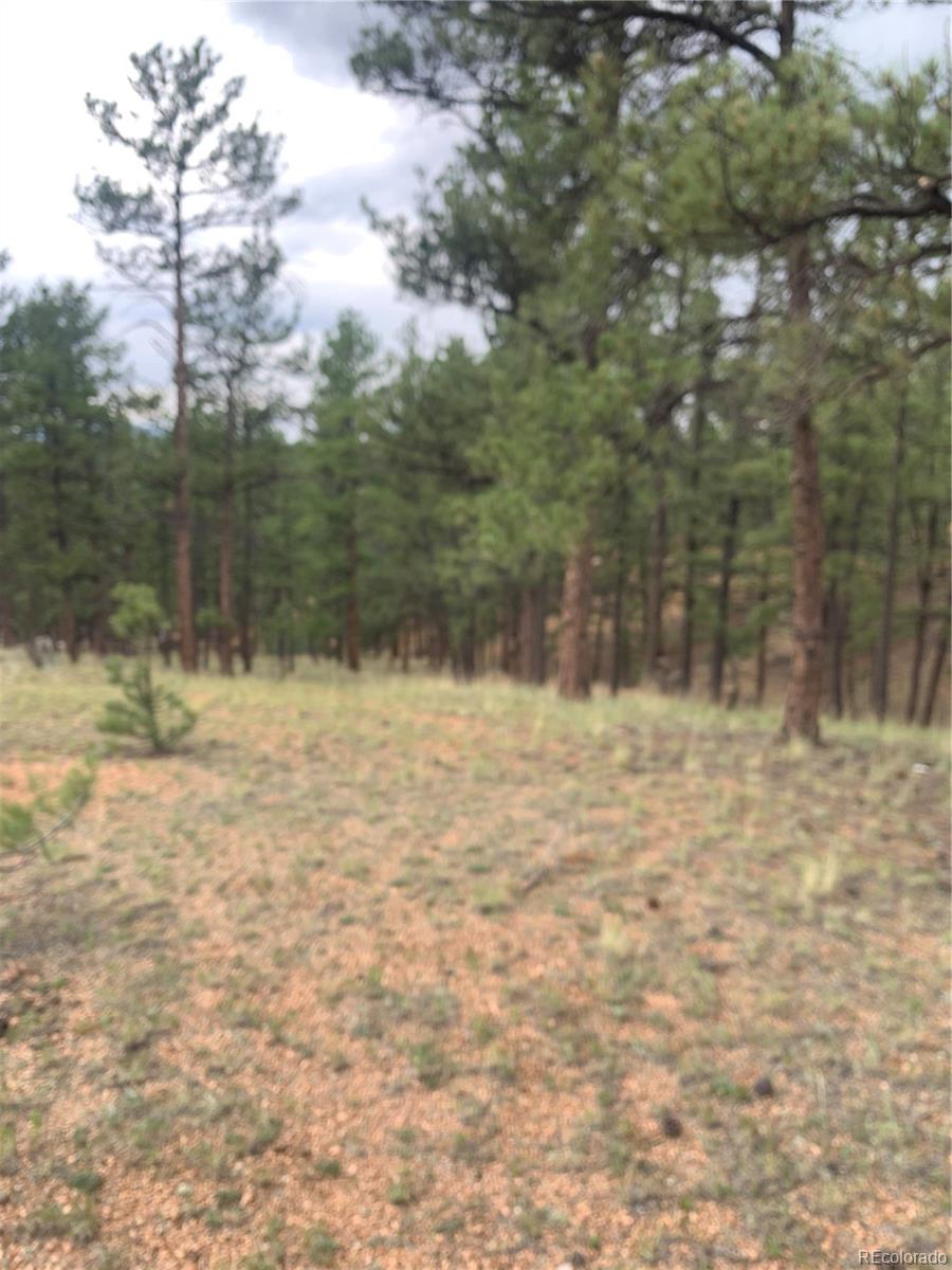 MLS Image #29 for 110  wallace drive,florissant, Colorado