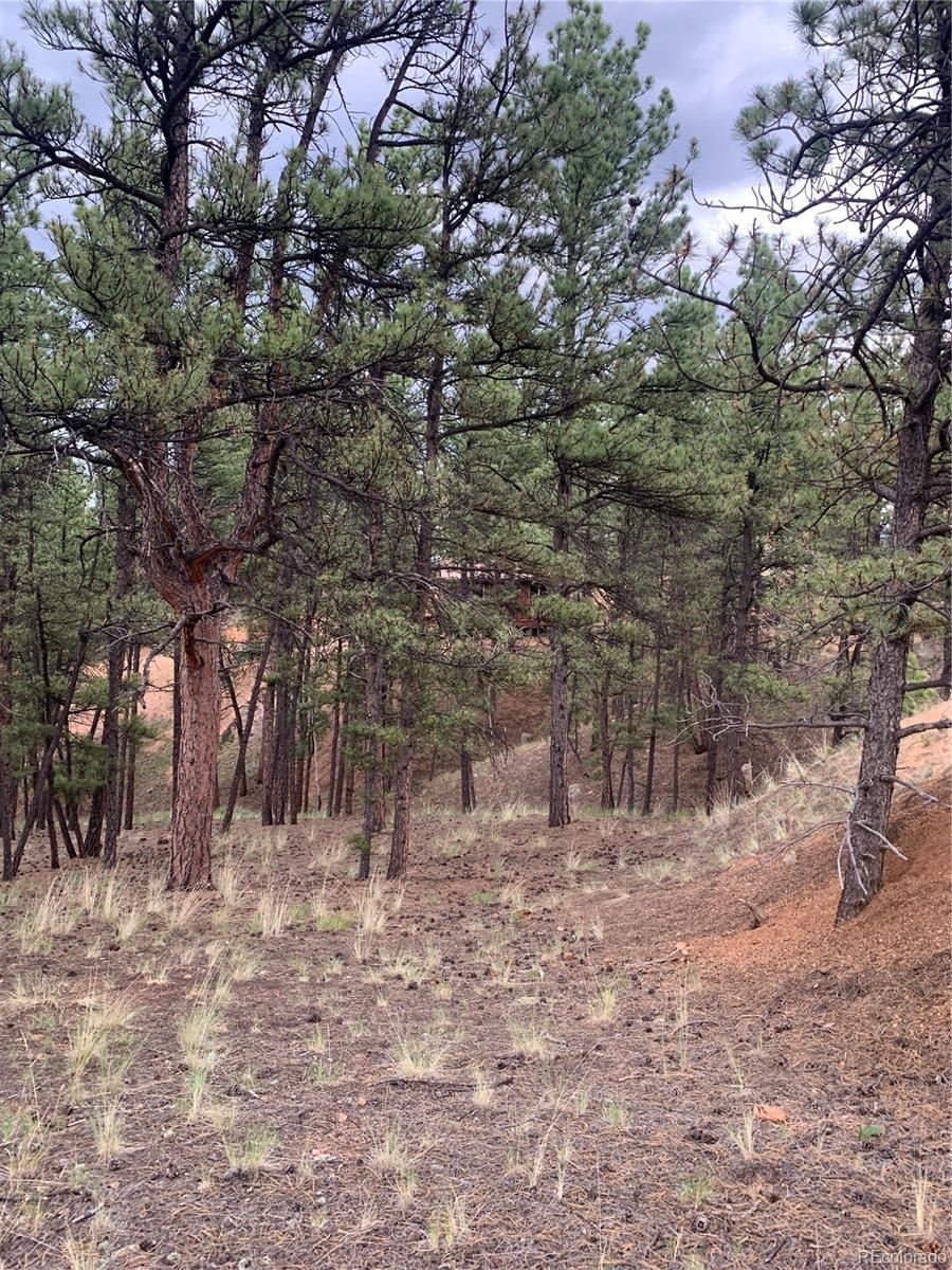 MLS Image #30 for 110  wallace drive,florissant, Colorado