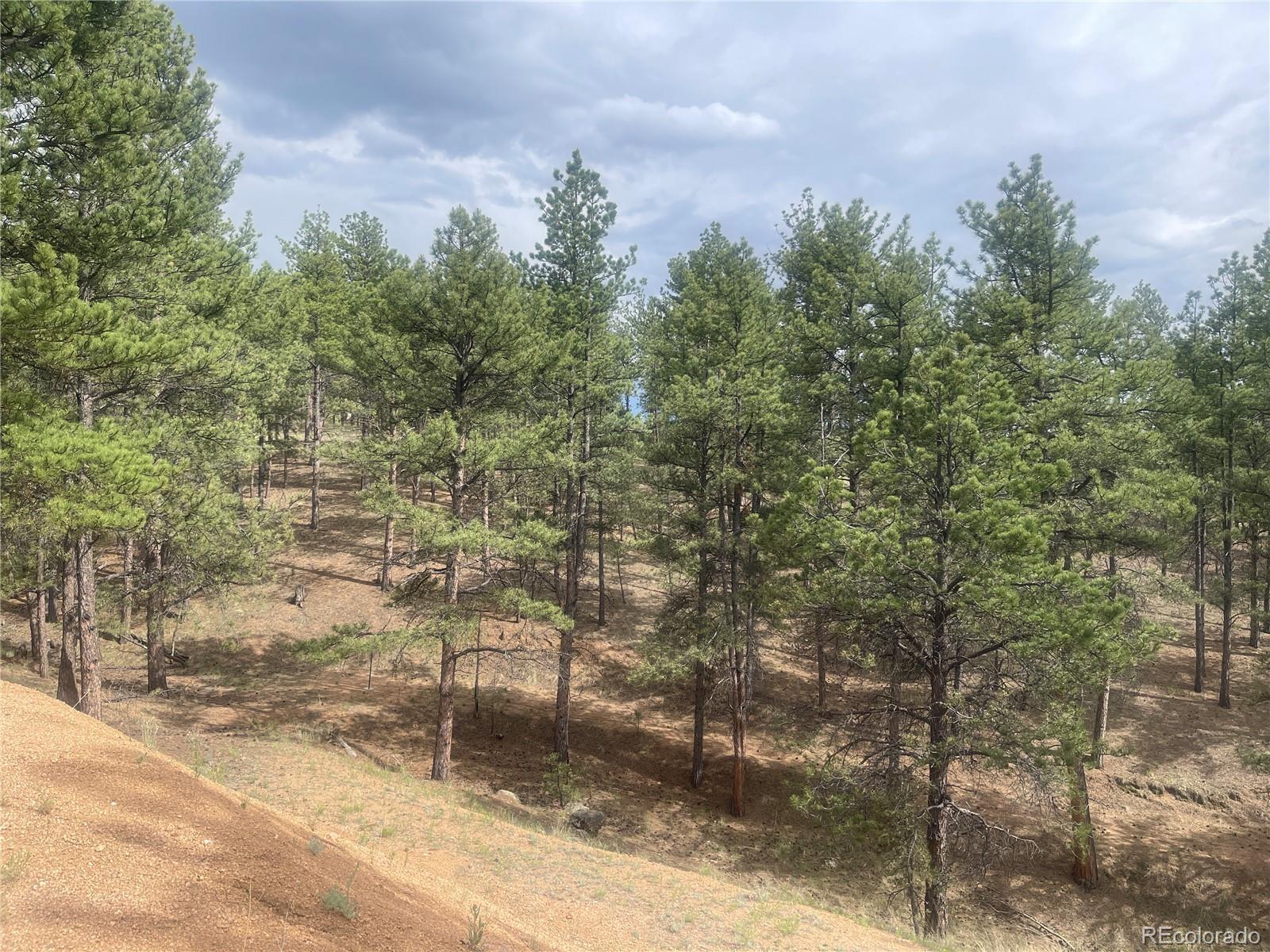 MLS Image #31 for 110  wallace drive,florissant, Colorado