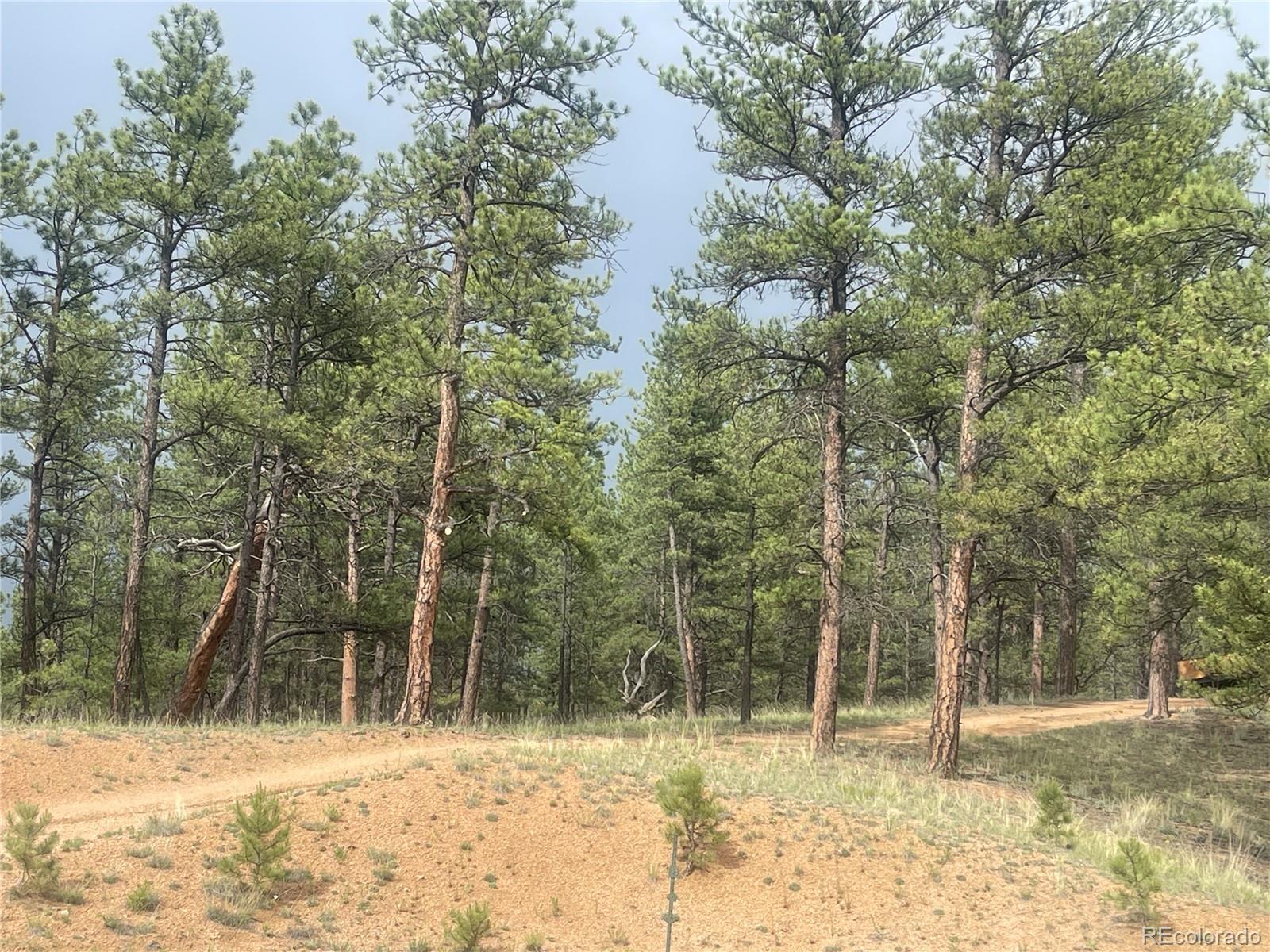 MLS Image #32 for 110  wallace drive,florissant, Colorado