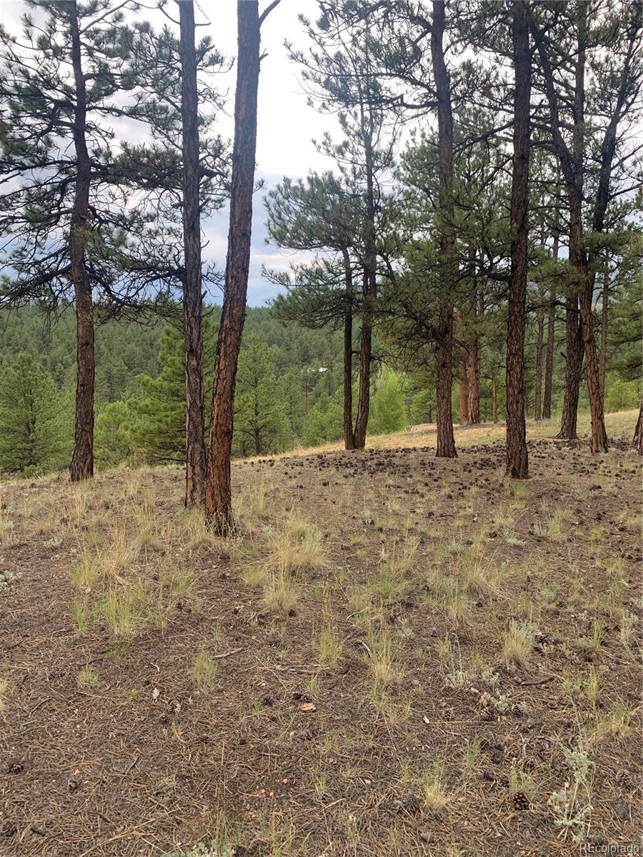 MLS Image #33 for 110  wallace drive,florissant, Colorado