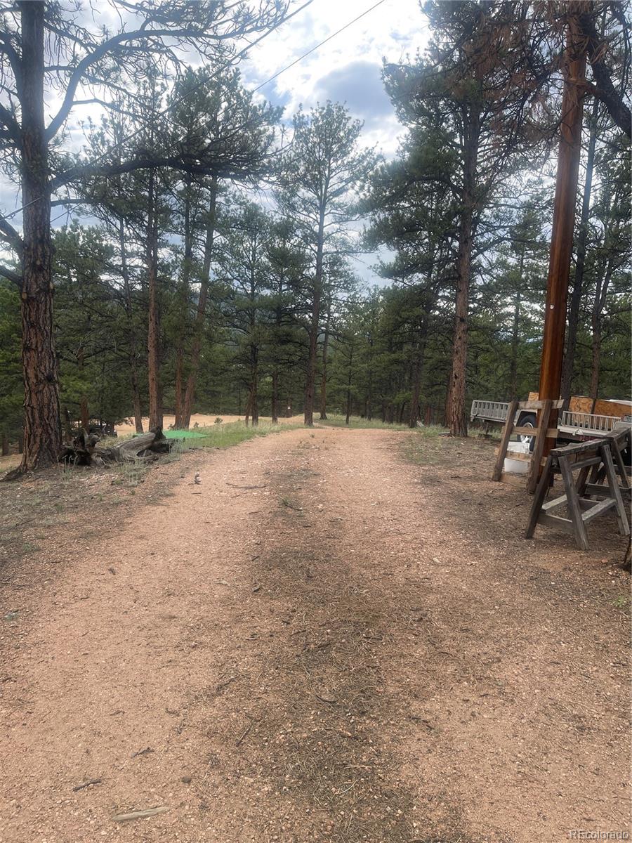 MLS Image #34 for 110  wallace drive,florissant, Colorado