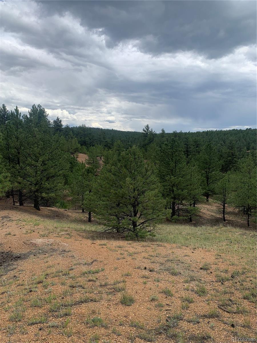 MLS Image #35 for 110  wallace drive,florissant, Colorado