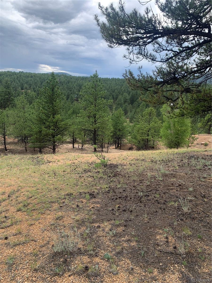 MLS Image #36 for 110  wallace drive,florissant, Colorado