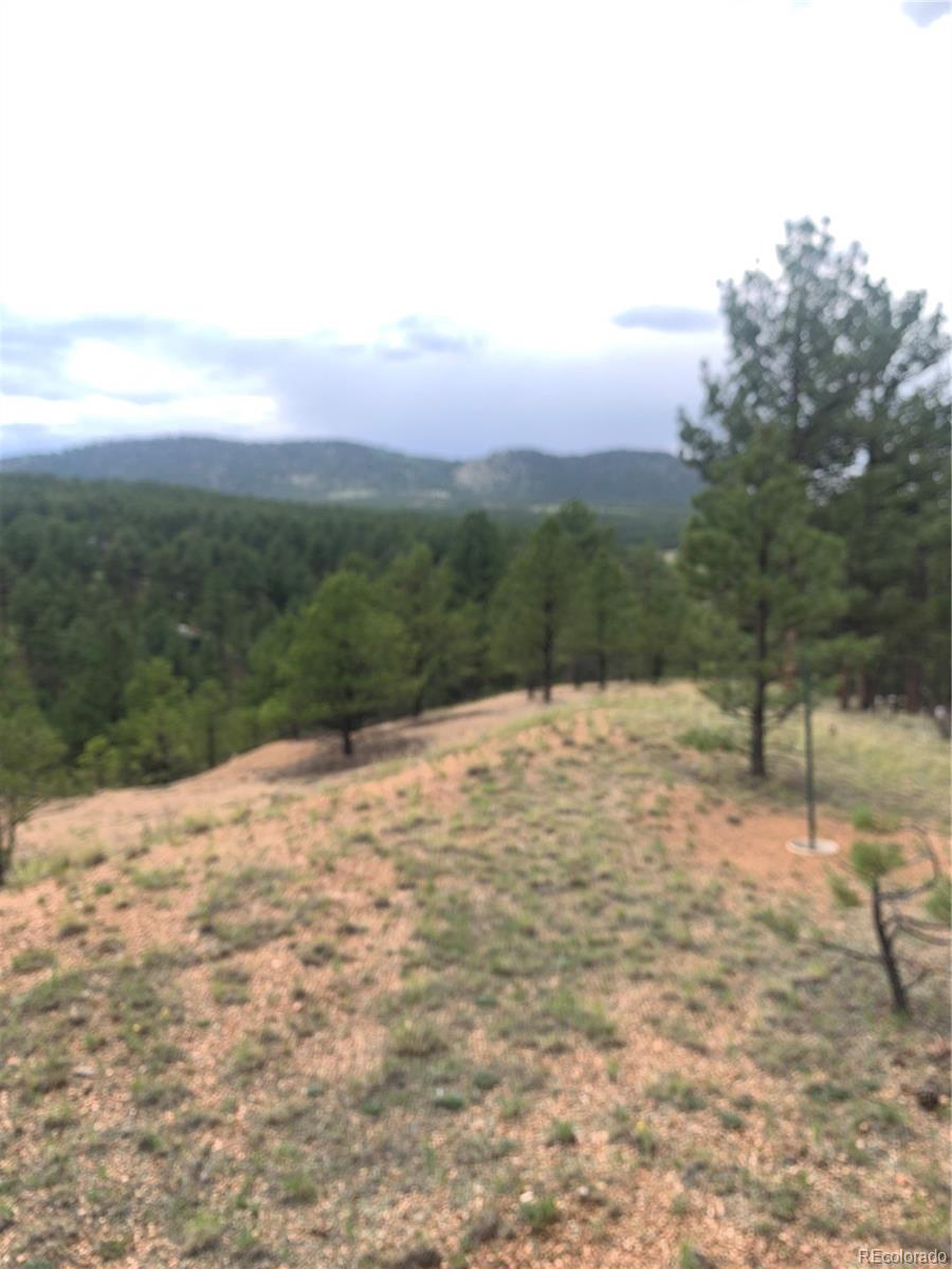 MLS Image #37 for 110  wallace drive,florissant, Colorado